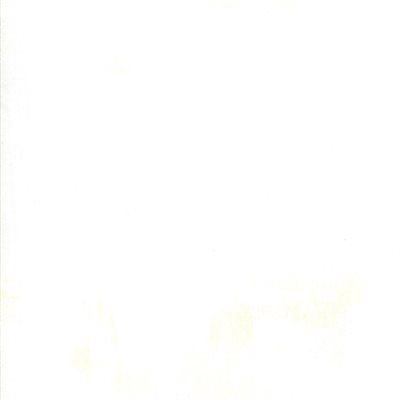 Grunge - Eggshell