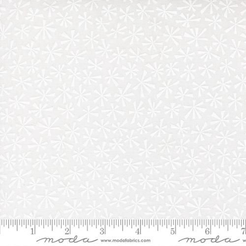 Snowtime - Winter White