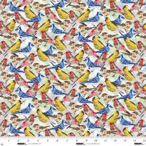 Air Mail- birds