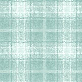 Snowtop mountain  flannel green plaid MASF10896-Q