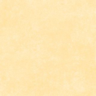 Shadow Play Cornsilk Yellow 513-SW2