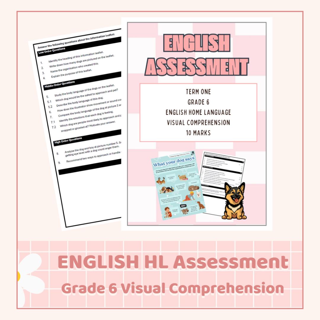 English HL Grade 6 Visual Comprehension