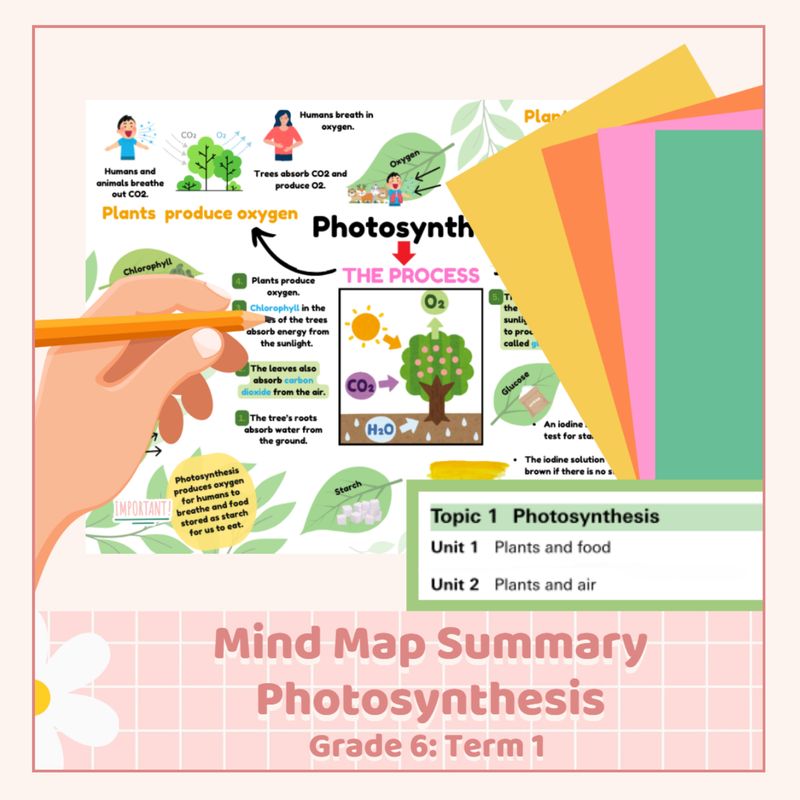 NS &amp; Tech Mind Map Summary: Photosynthesis