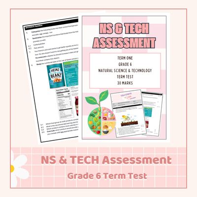 NS &amp; Tech Grade 6 Term 1 Test