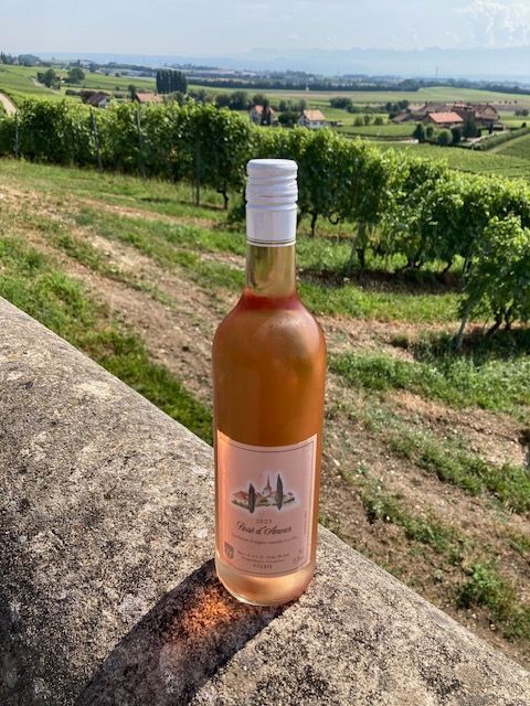 Rosé d'Amour 70cl.