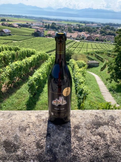 Pinot noir 50cl.