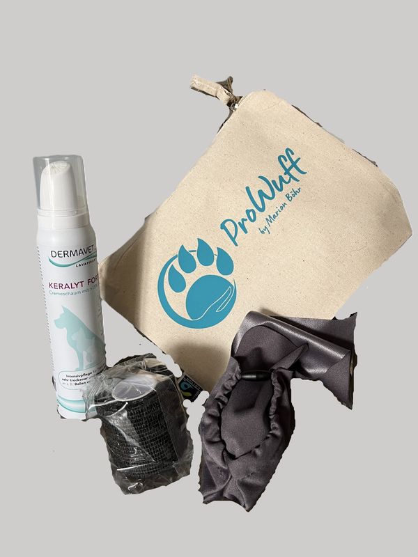 Happy Pawlife – Das Rundum-sorglos-Paket für edle Hundepfoten! 🐾
