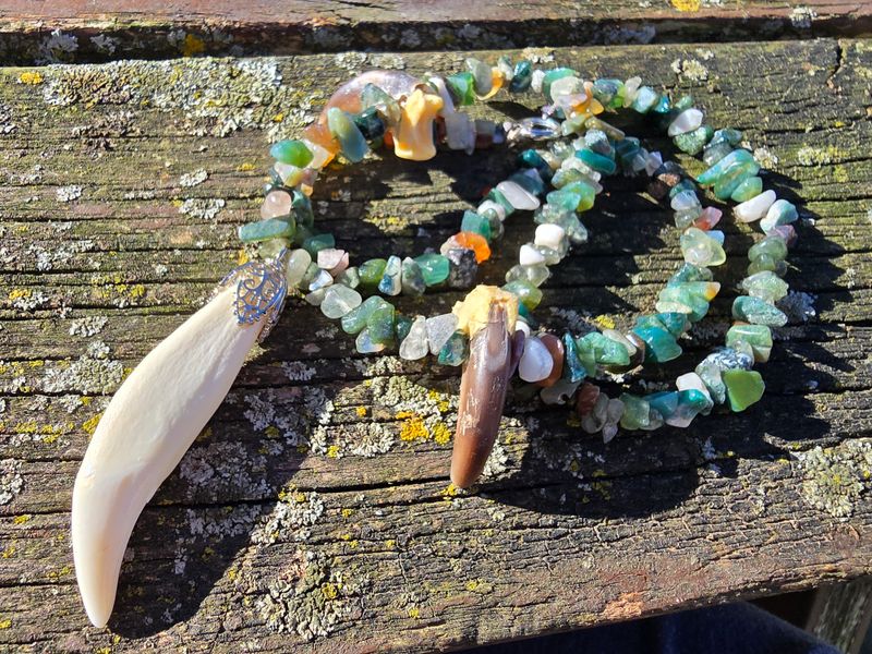 Bear Tooth, Claws & Jasper Necklace
