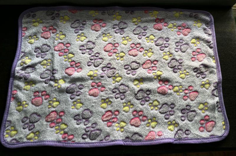 Dog Blanket