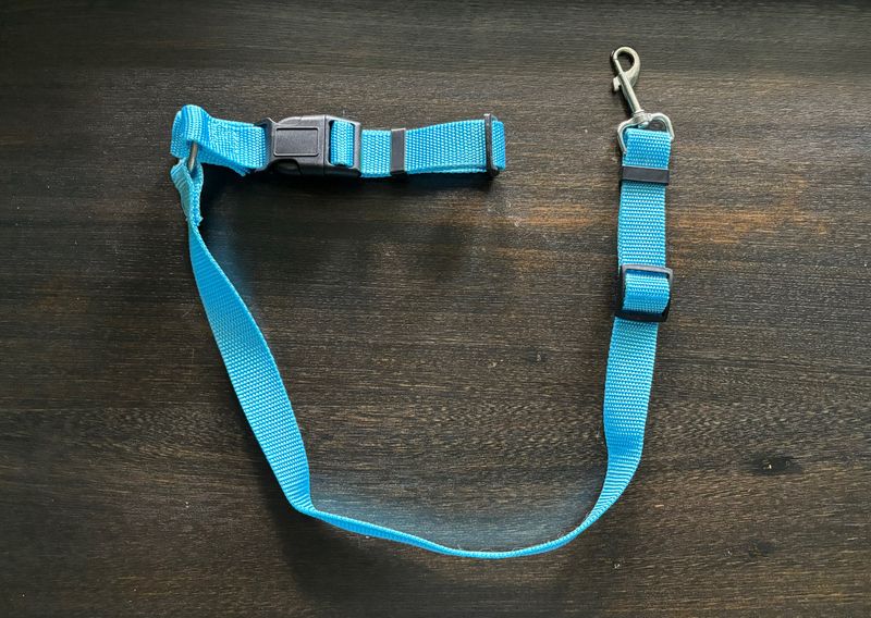 Headrest Seat belts