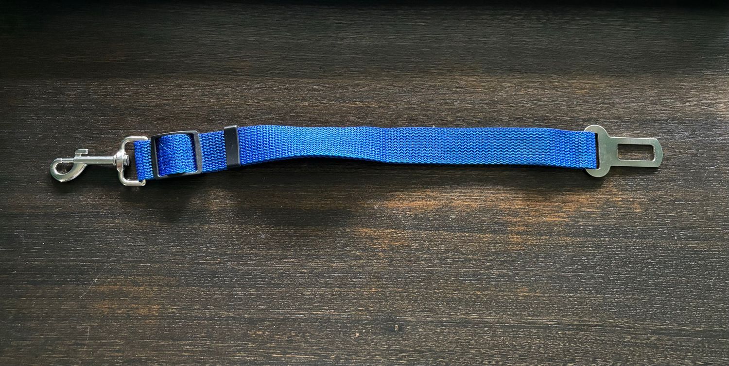 Dog seat belts
