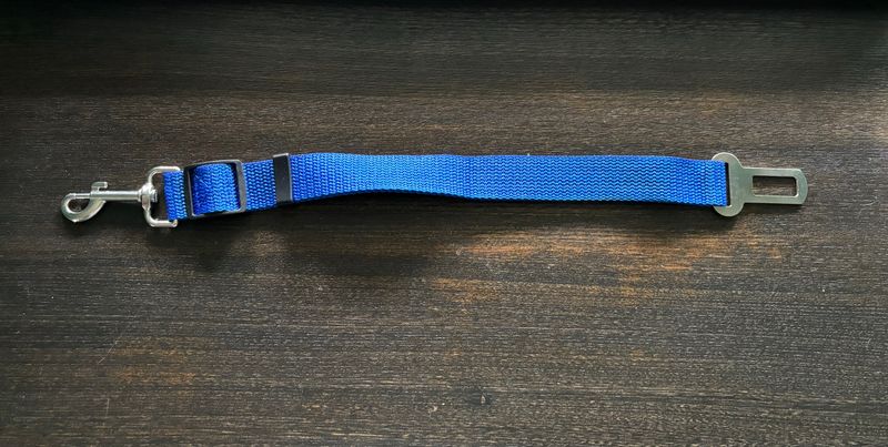 Dog seat belts