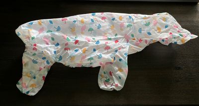 dog raincoat