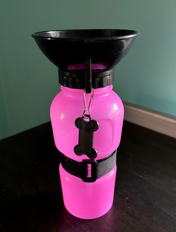 travel pet water cup