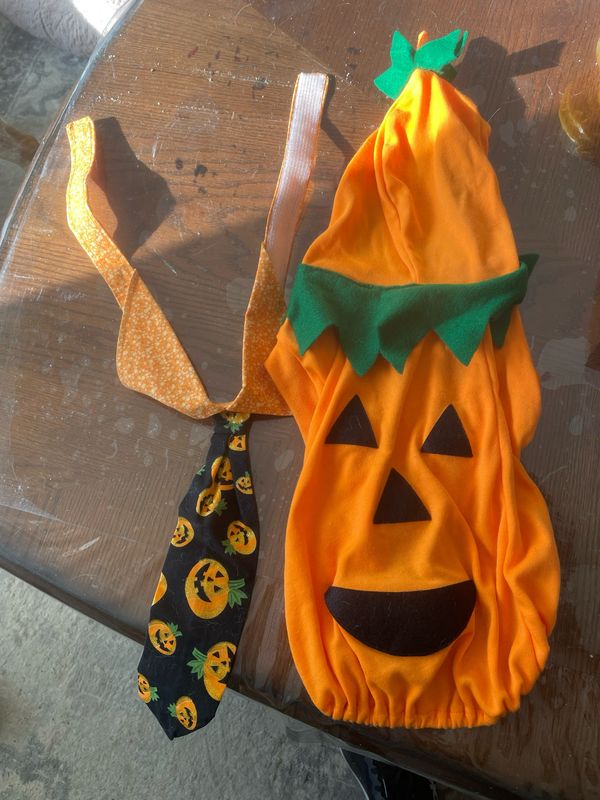 Pumpkin Costume For Small Dog