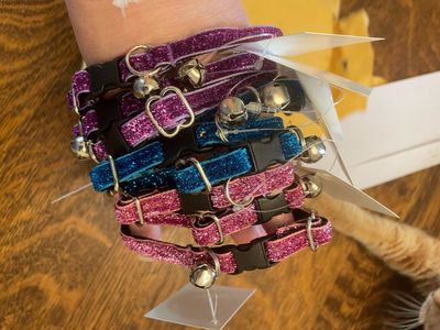 Cat Collars