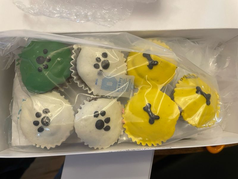 Mini Cupcakes For Dogs