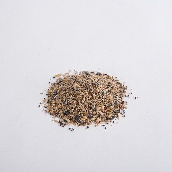 Topflite Wild Bird Seed Mix - Coarse