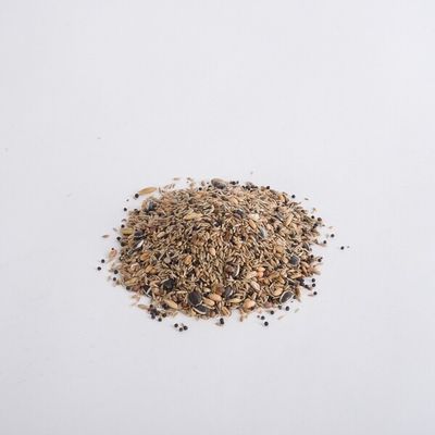 Topflite Wild Bird Seed Mix - Coarse