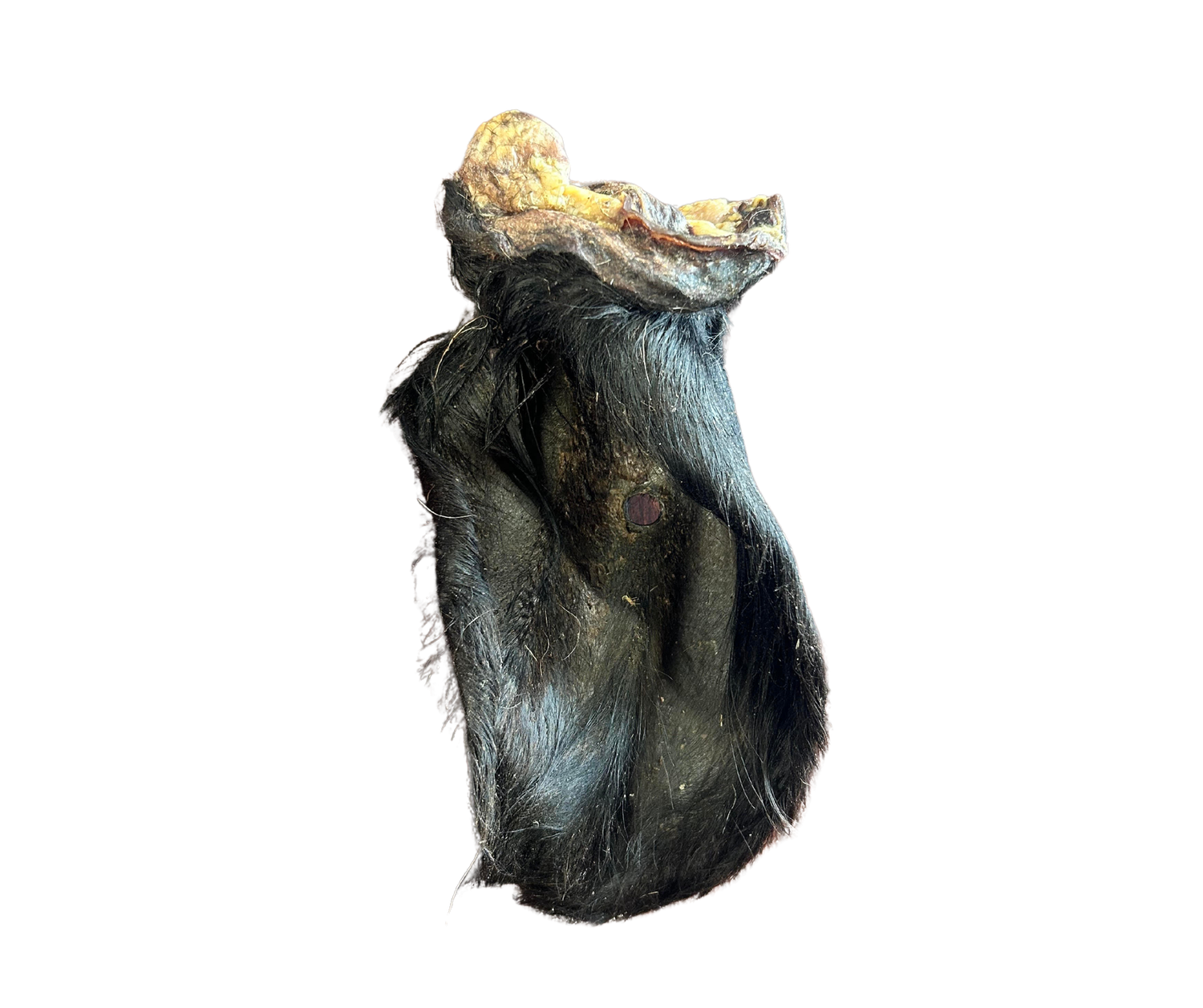 Hairy Cow Ear