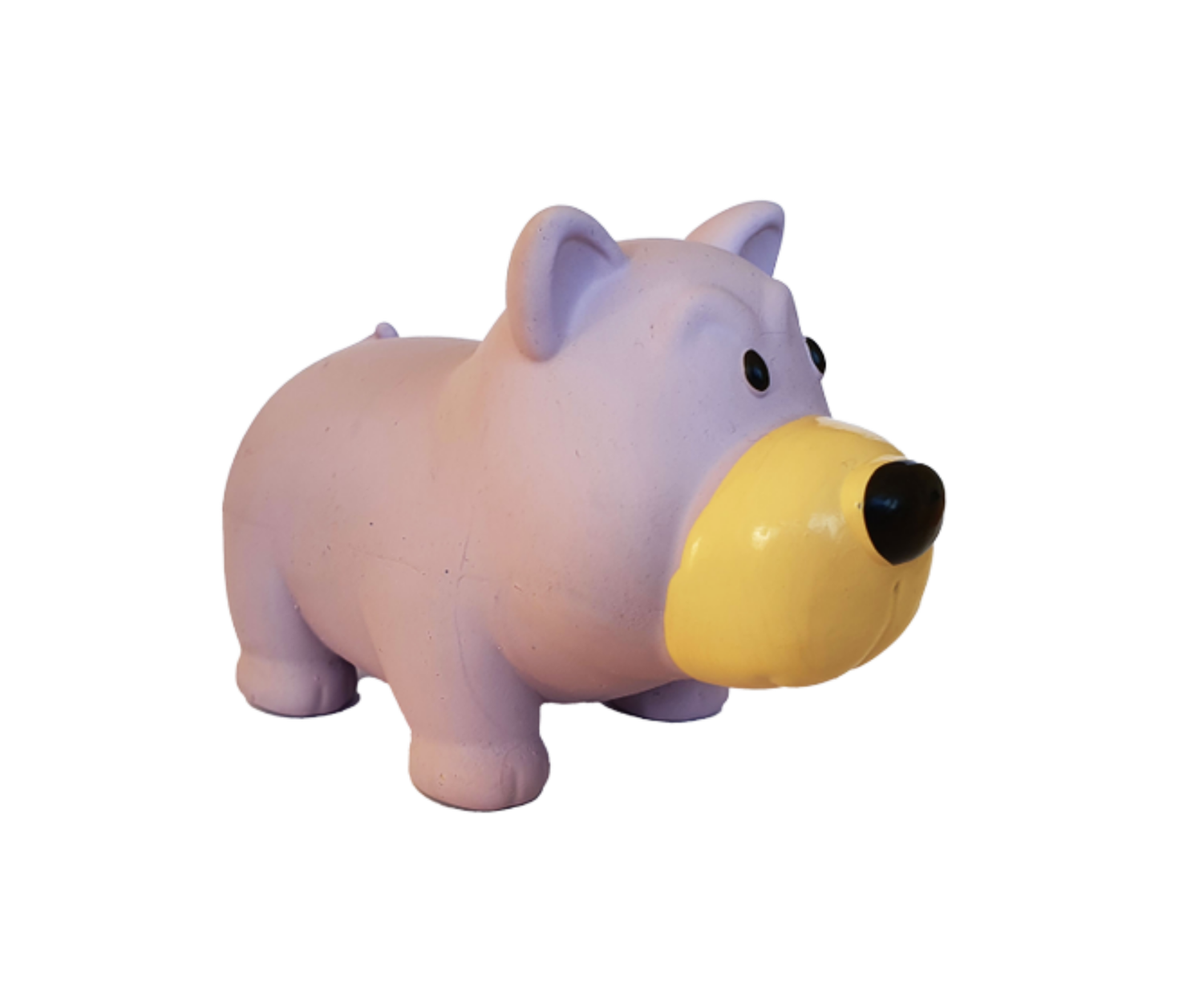Grunter Corgi