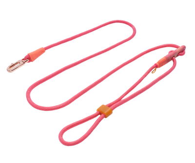 ZeeDog - Hands Free Leash