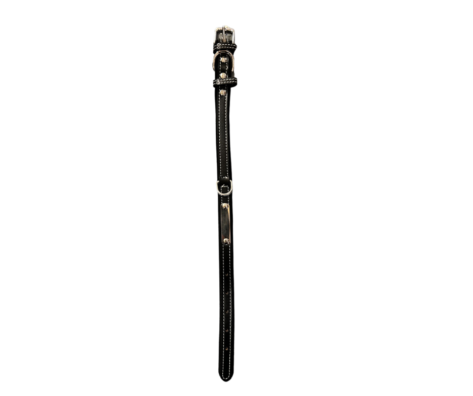 Leather Collar w/ ID Tag - Black