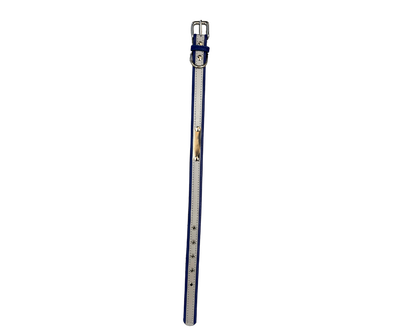 Reflective Collar - Blue