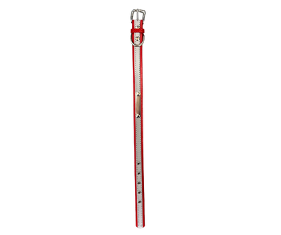 Reflective Collar - Red