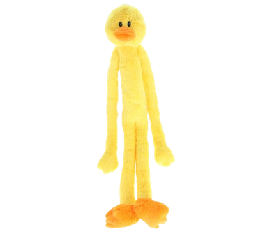Swingin&#39; Slevins Duck