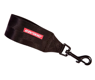 ED Car Seat Attachment