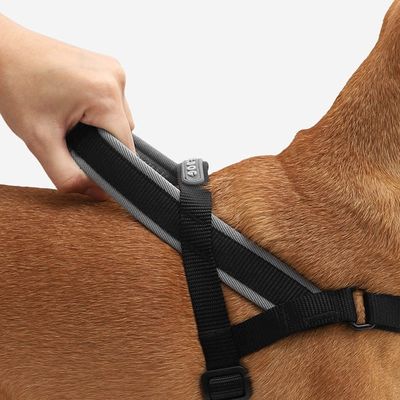 Zee.Dog Anti-Pull Harness - Gotham