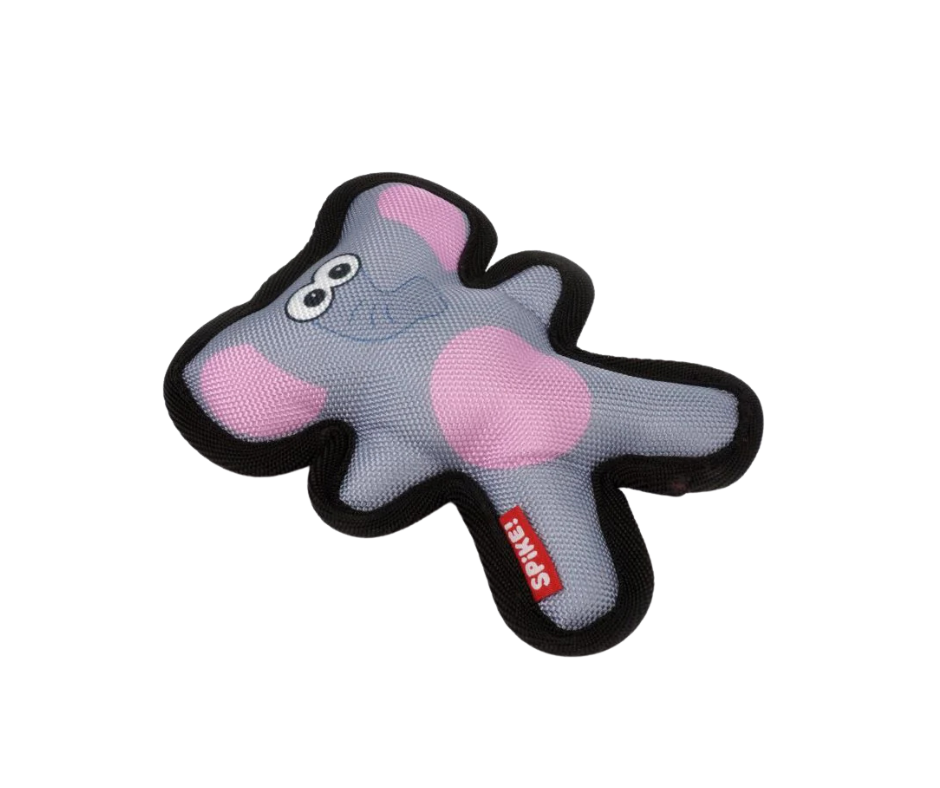 Canvas Elephant
