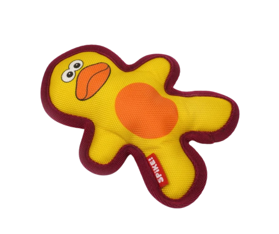 Canvas Duck