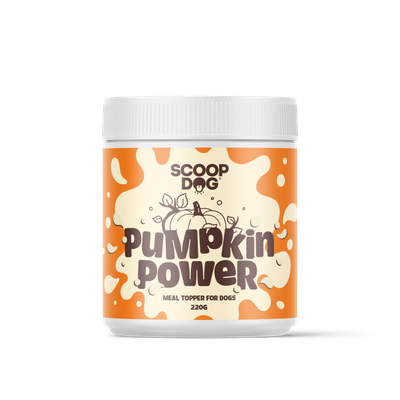 Pumpkin Powder