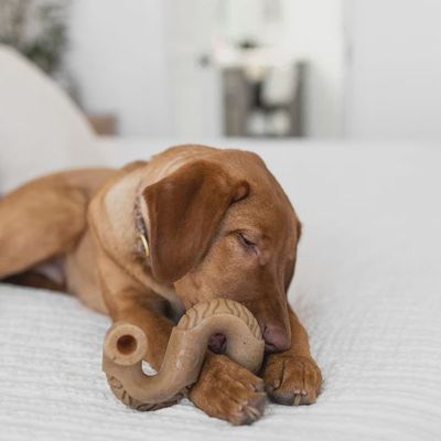 Benebone - Tripe Bone