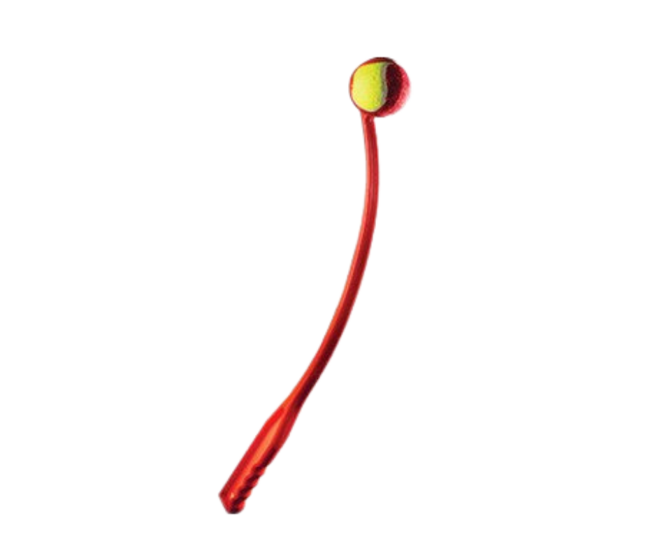 Ball Thrower with Ball