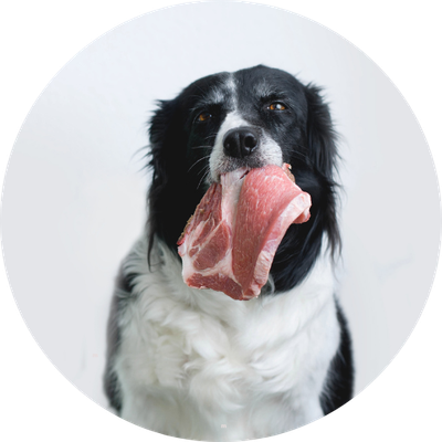 Raw Food