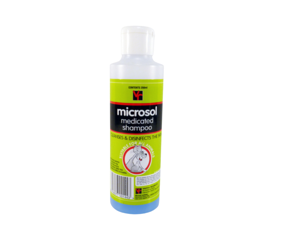 Microsol Shampoo