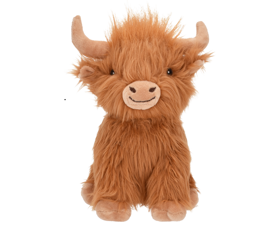 Highland Cow