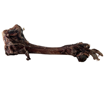 Dehydrated Venison Bone