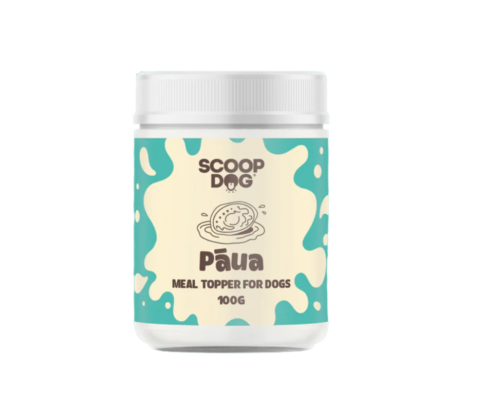 Scoop Dog - Paua Topper
