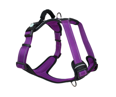 Huskimo Ultimate Harness - Aurora
