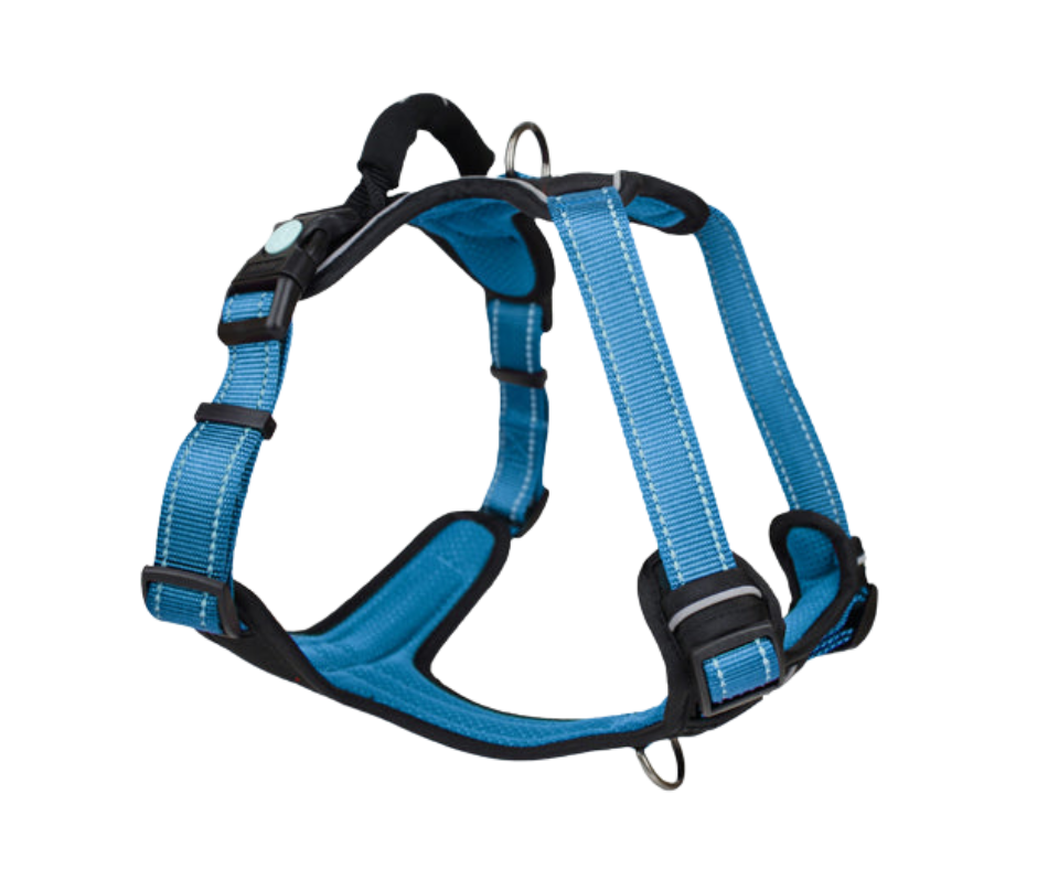 Huskimo Ultimate Harness - Bells Beach