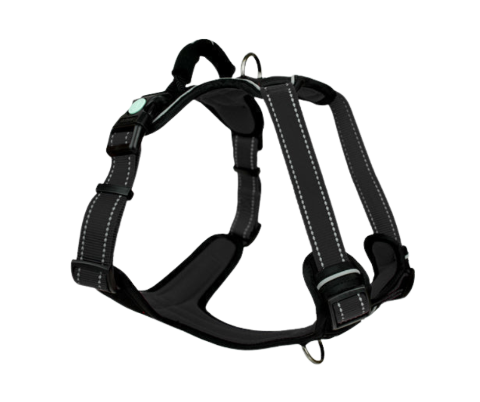 Huskimo Ultimate Harness - Dark Sky