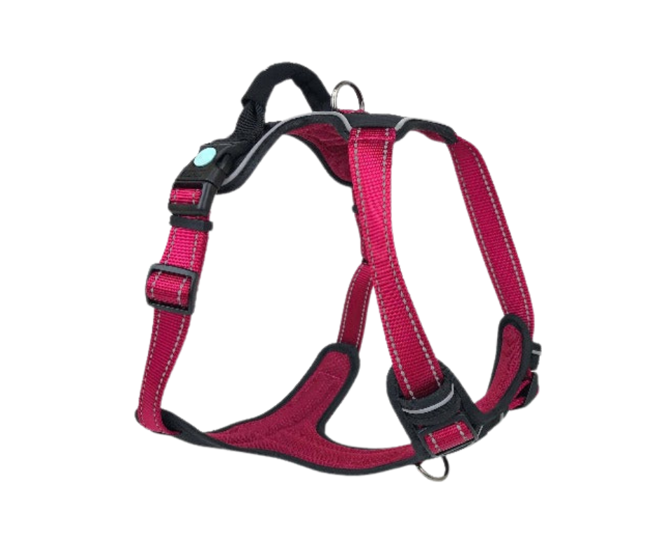 Huskimo Ultimate Harness - Uluru