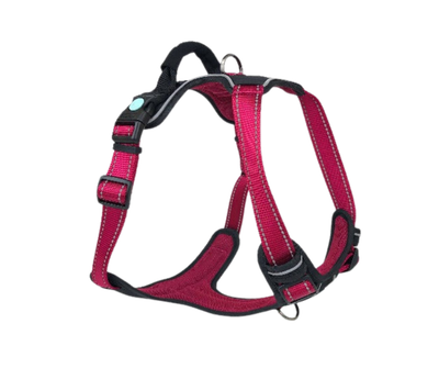 Huskimo Ultimate Harness - Uluru