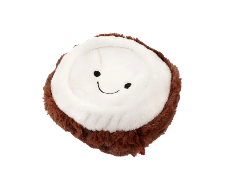 Spike Coconut Dog Toy