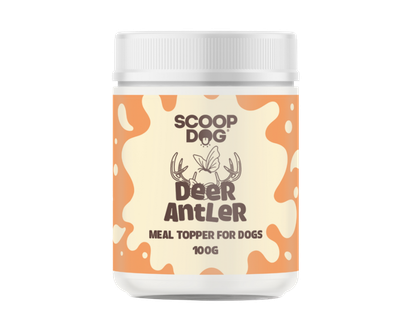 Scoop Dog - Deer Antler