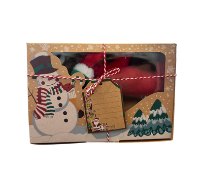 Christmas Doggy Boxes